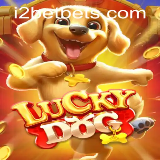 Explorando o Jogo LuckyDog e a Plataforma i2BET